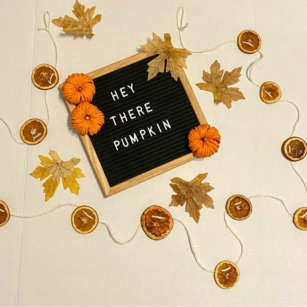 Dry Orange Garland, 30 feet